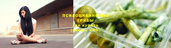 молекула духа Наволоки