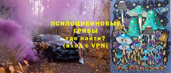 молекула духа Наволоки